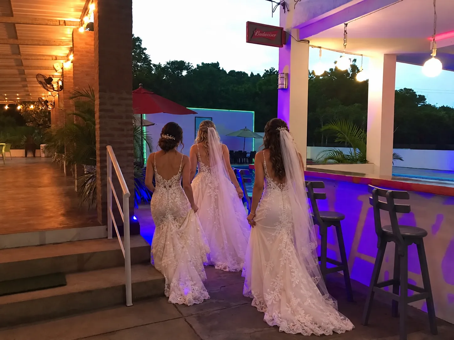 Matrimonios y bodas